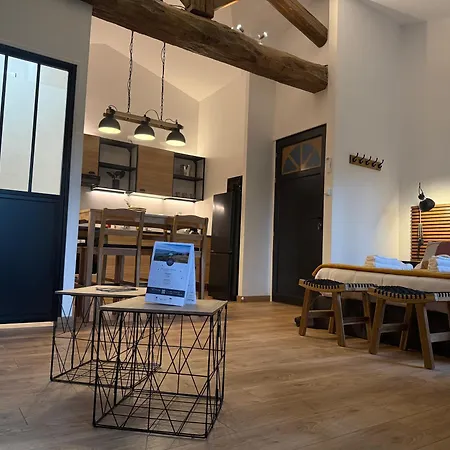 Les Loges De Bacchus Le Petit Loft * Chonas-lʼAmballan